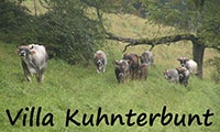 Villa Kuhnterbunt