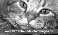 Katzenfreunde Oberthurgau
