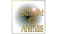 Sunlight For Animals