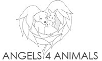 Angels for Animals